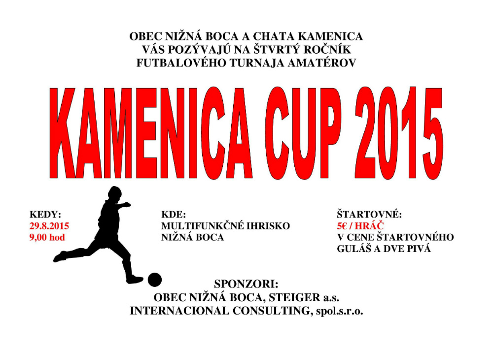 Kamenica Cup 2015